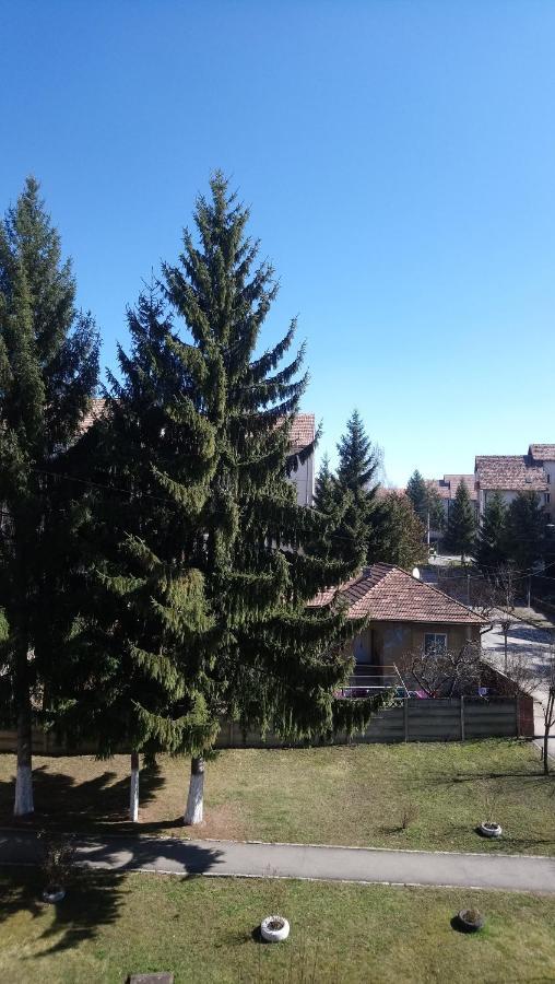 Апартаменти Simple And Comfortable М'єркуря-Чук Екстер'єр фото